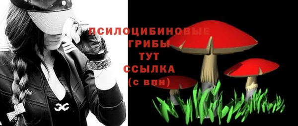 стафф Балахна