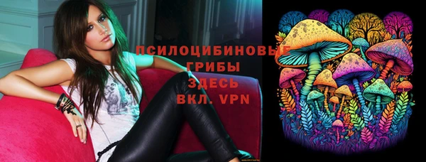 прущие крисы Саяногорск