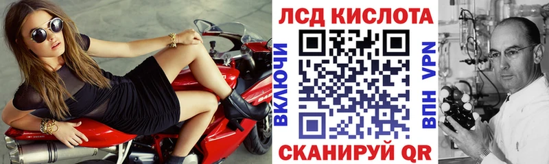 OMG вход  Выборг  Марки NBOMe 1,8мг 